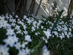写日記3.31 no.6