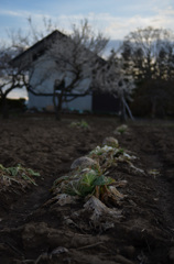 写日記4.08 no.5