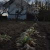 写日記4.08 no.5