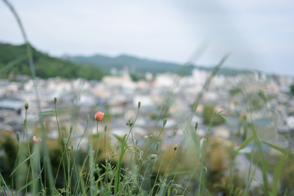 写日記 5.3 no.4