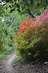 写日記 5.3 no.2