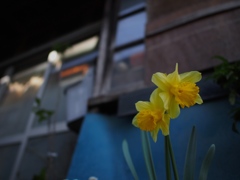 写日記4.2 no.5