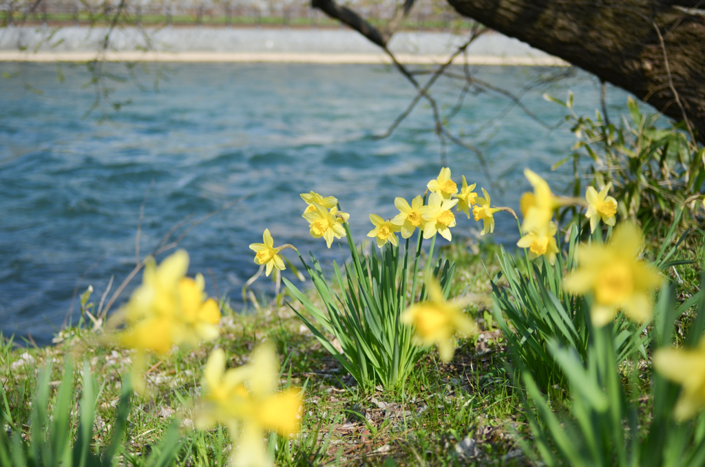 写日記4.12 no.2