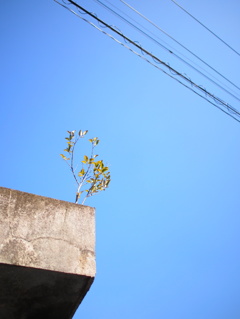 散歩記録3.13 no.2