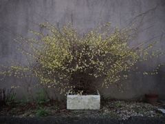 写日記3.31 no.5