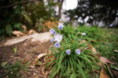 DSC04246-4