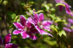 DSC06150