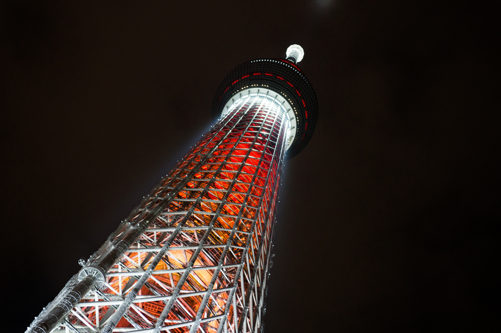 クリスマスツリー1