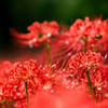 DSC01806