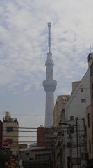 DCIM0022 (2)