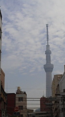 DCIM0023 (2)