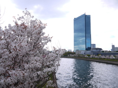 P1040409
