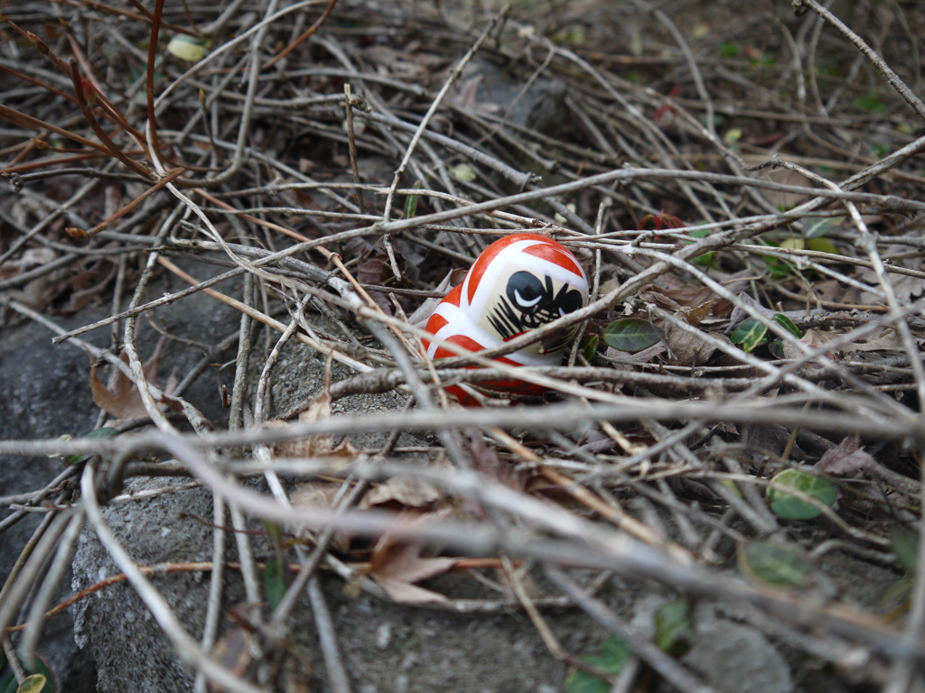 埋もれたダルマ