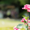 すらり。