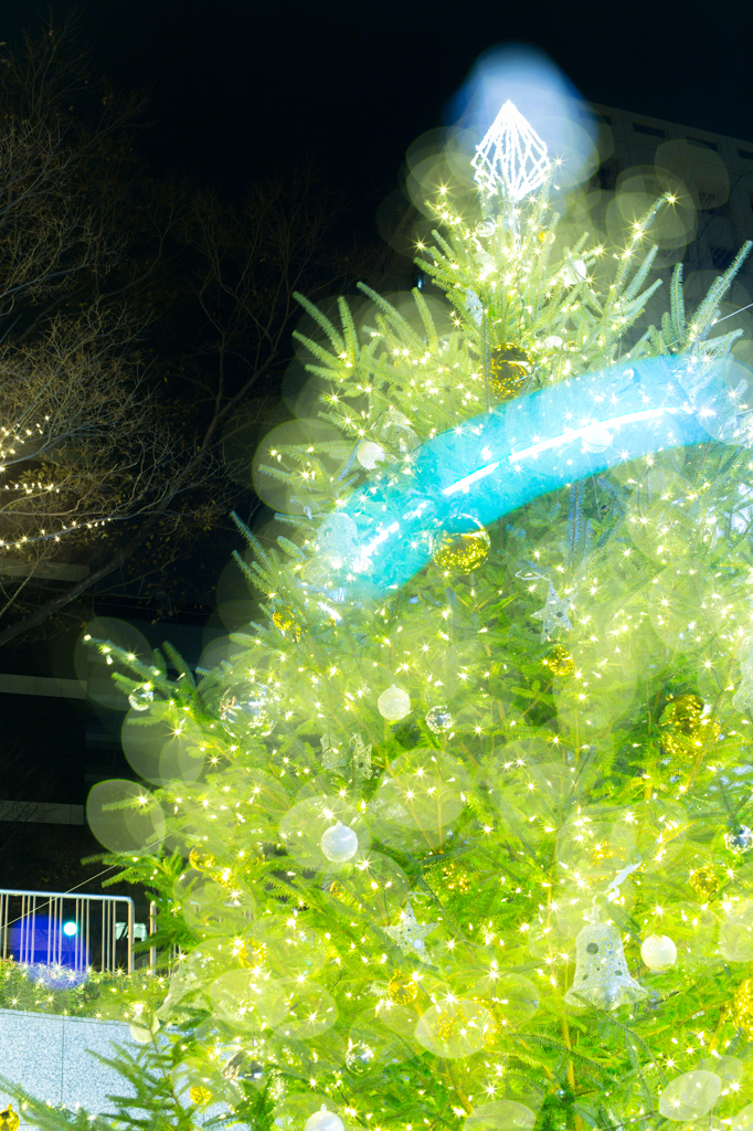Holy Night Is Coming!