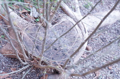 DSC00125