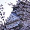 城と桜