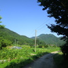 田舎の夏
