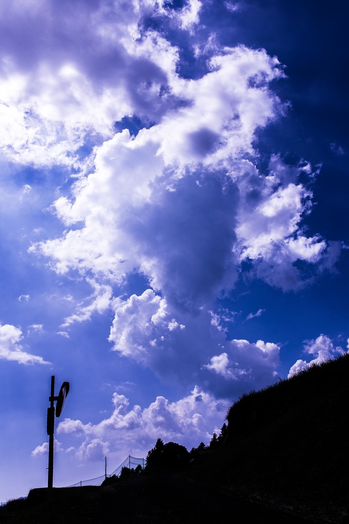 青い夏