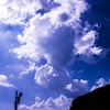 青い夏