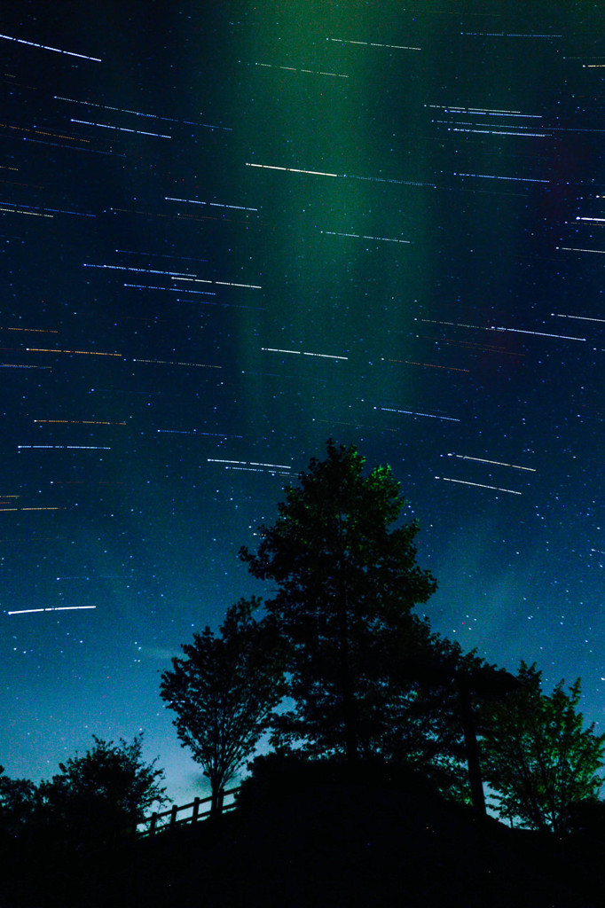 木の上に流れる星