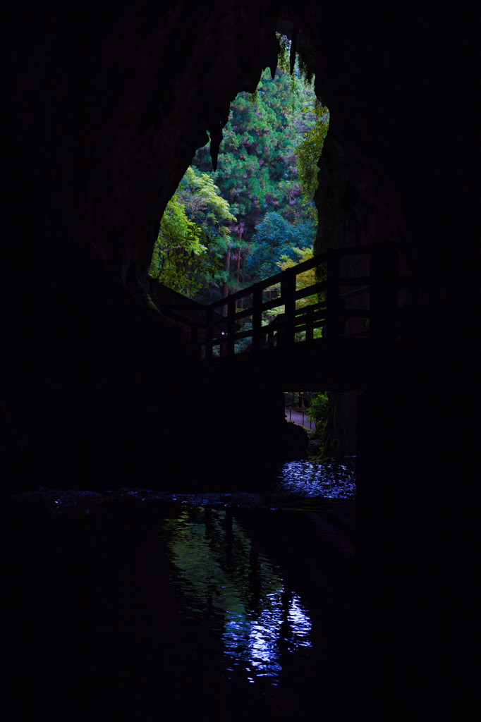 光