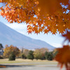 山中湖畔の秋