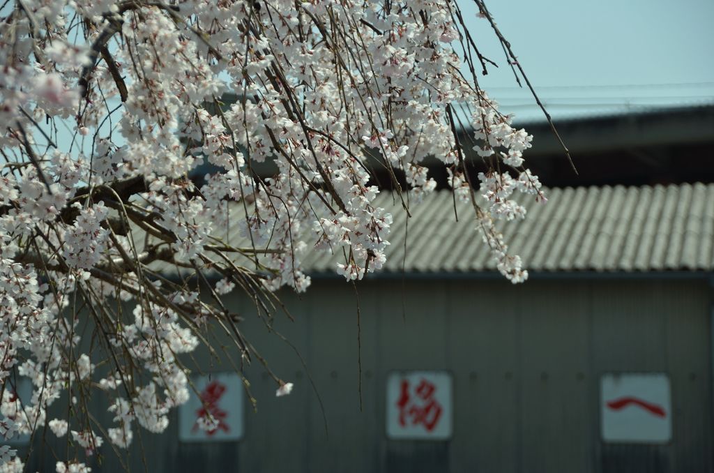貯金は農協へ。