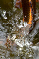 撮り逃した瞬間は大きい