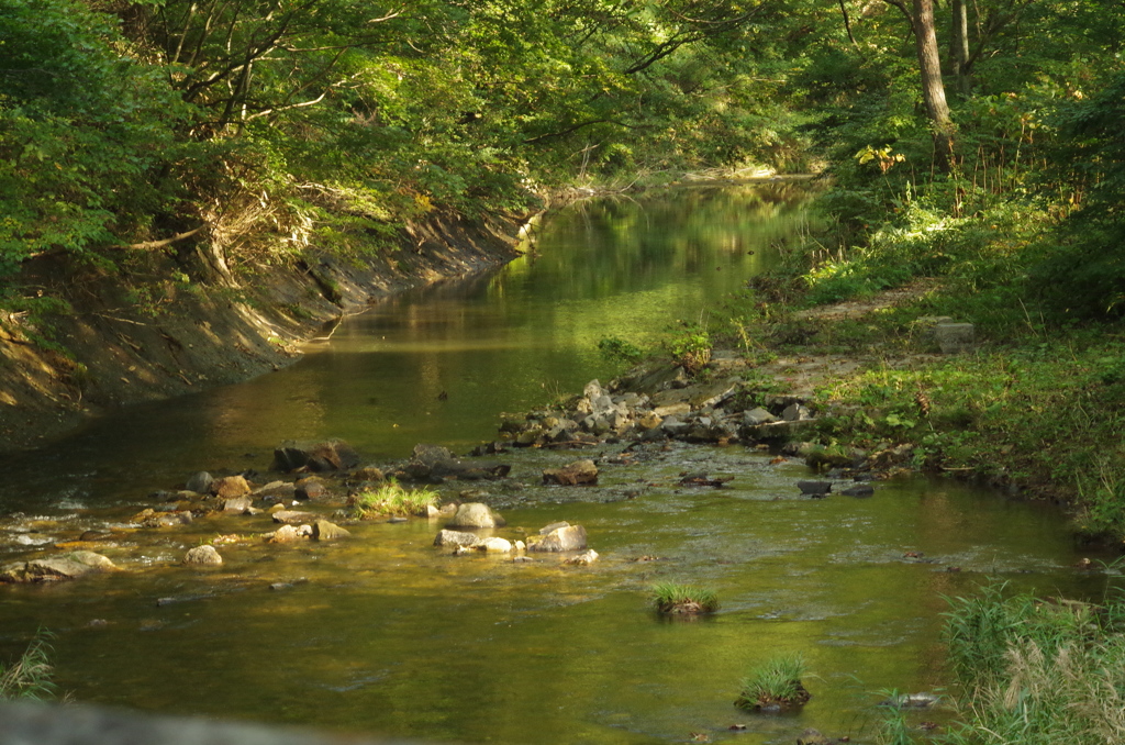 緑の川面