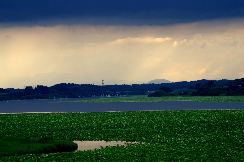 近く雨雲、向こう晴れ、下に見えるは蓮の沼