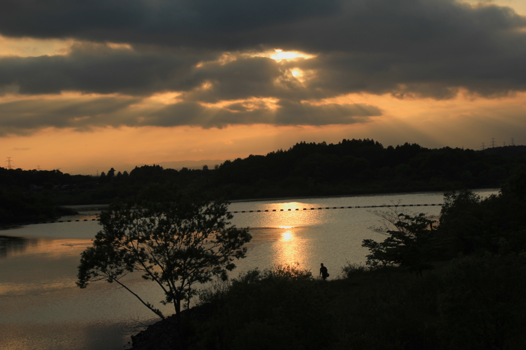 水辺の夕暮れ