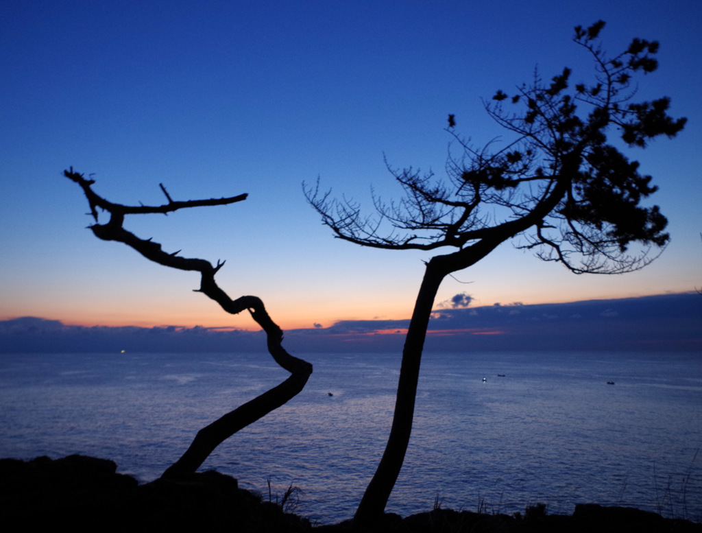 岬の夜明け