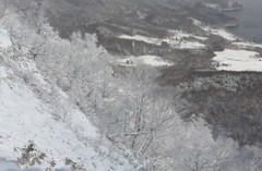 冬到来