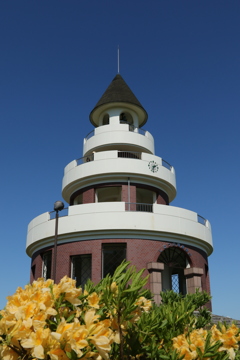 新篠津村