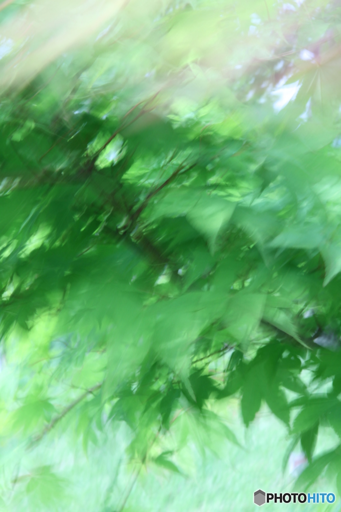 グリーン