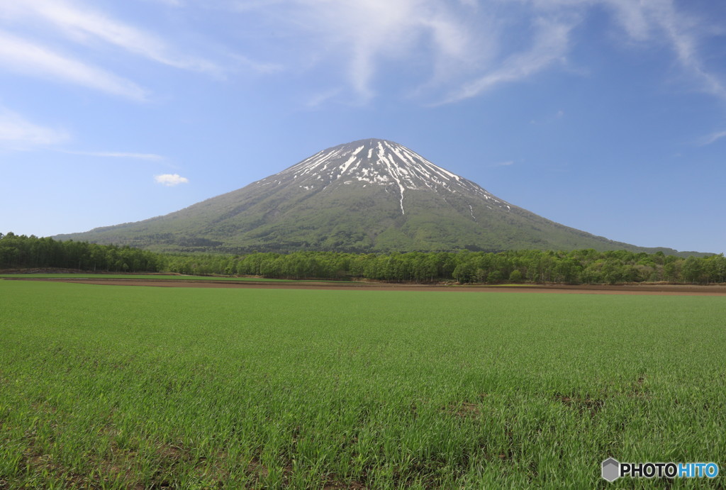 初夏の蝦夷富士