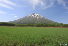 初夏の蝦夷富士