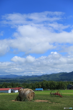 niseko