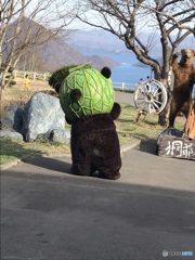 メロン熊２