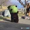 メロン熊２