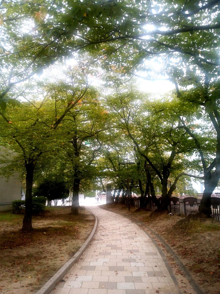 昼下がりの公園