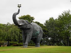 安藤泉　「遊星散歩」