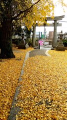 黄金色の神社