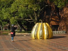 草間弥生を撮る