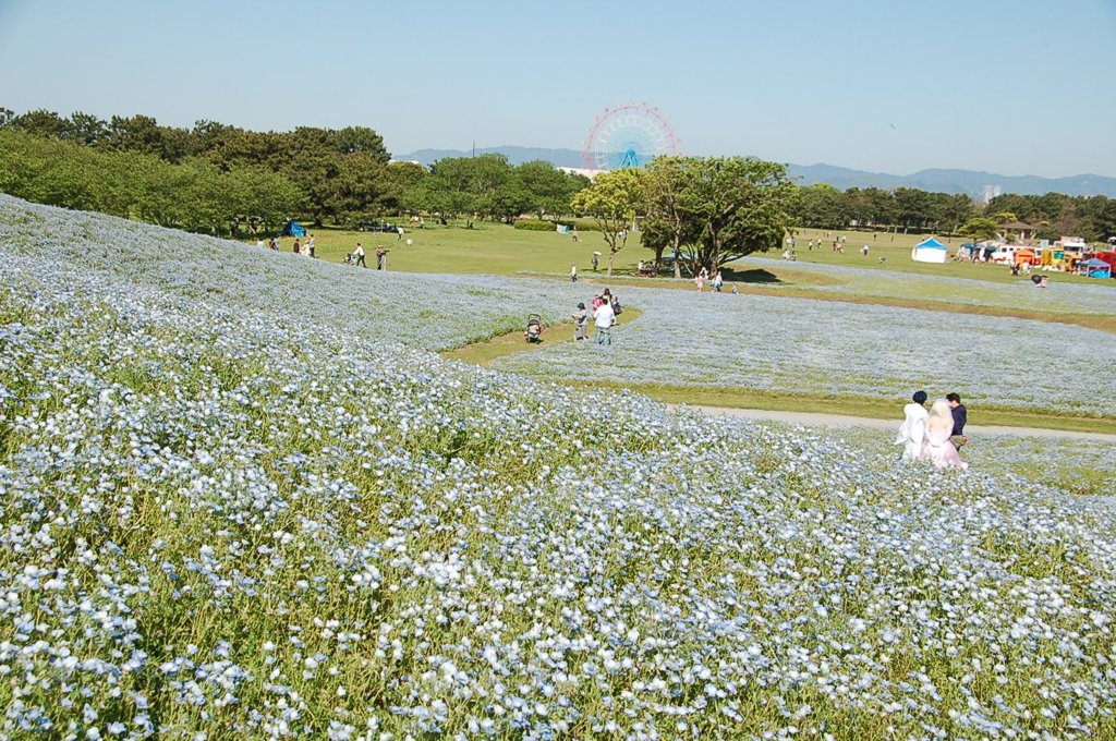 海の中道海浜公園