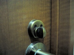 自宅のトイレの顔