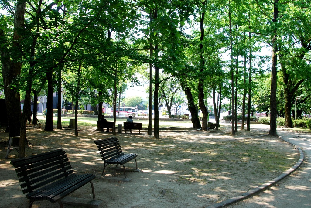 昼間の公園