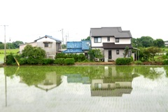 日本の田園風景