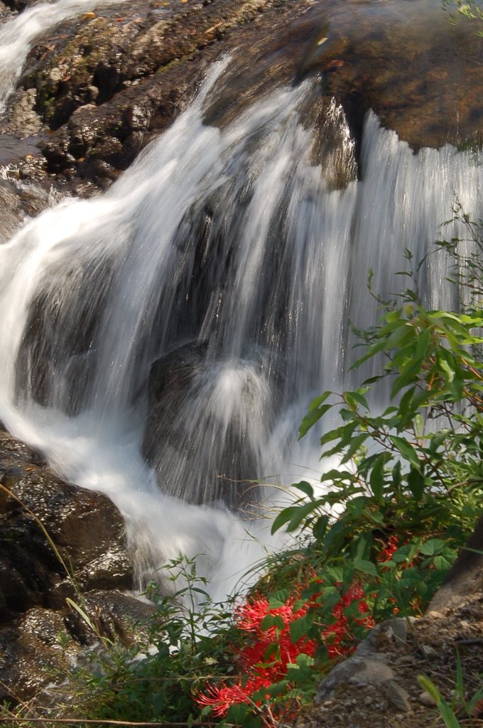 滝と彼岸花